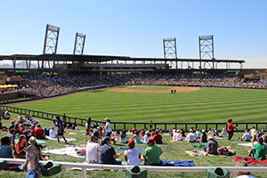 CDD-SaltRiverFields
