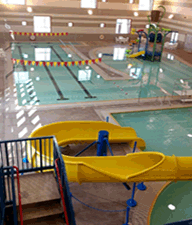 [PHOTO - WOLF Pool]