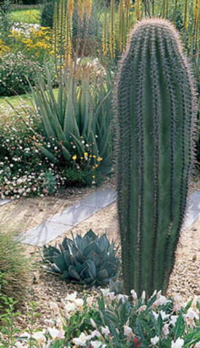 Water Conservation Water Conservation