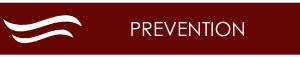Wellness Programs