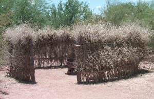 Traditional Cultures