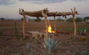 Traditional Cultures
